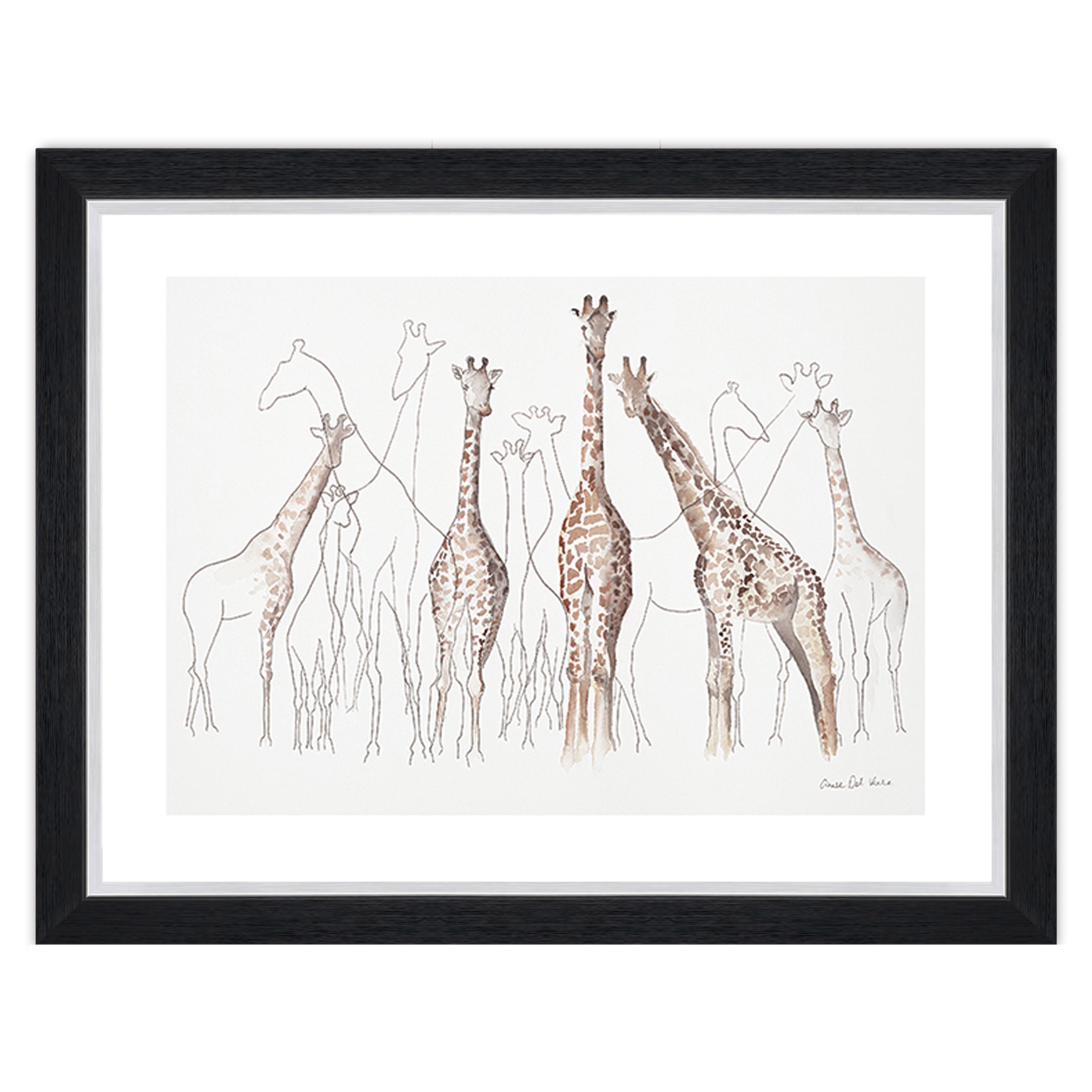 Toutes les Girafes