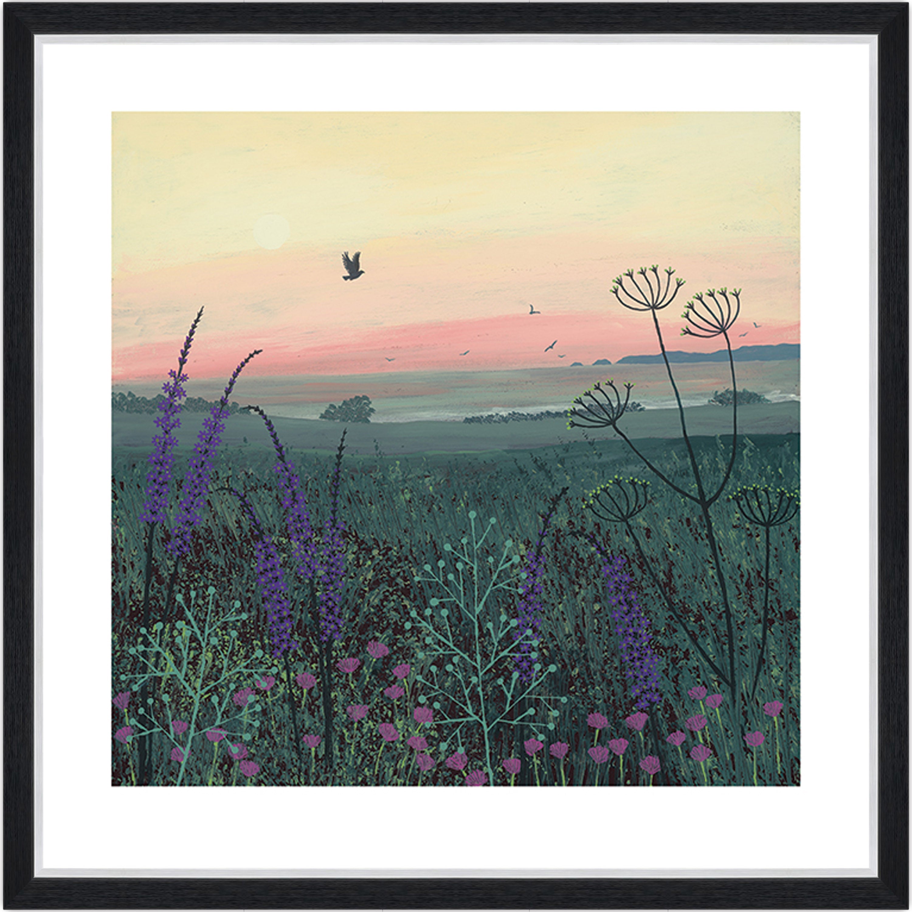 Coastal Dawn