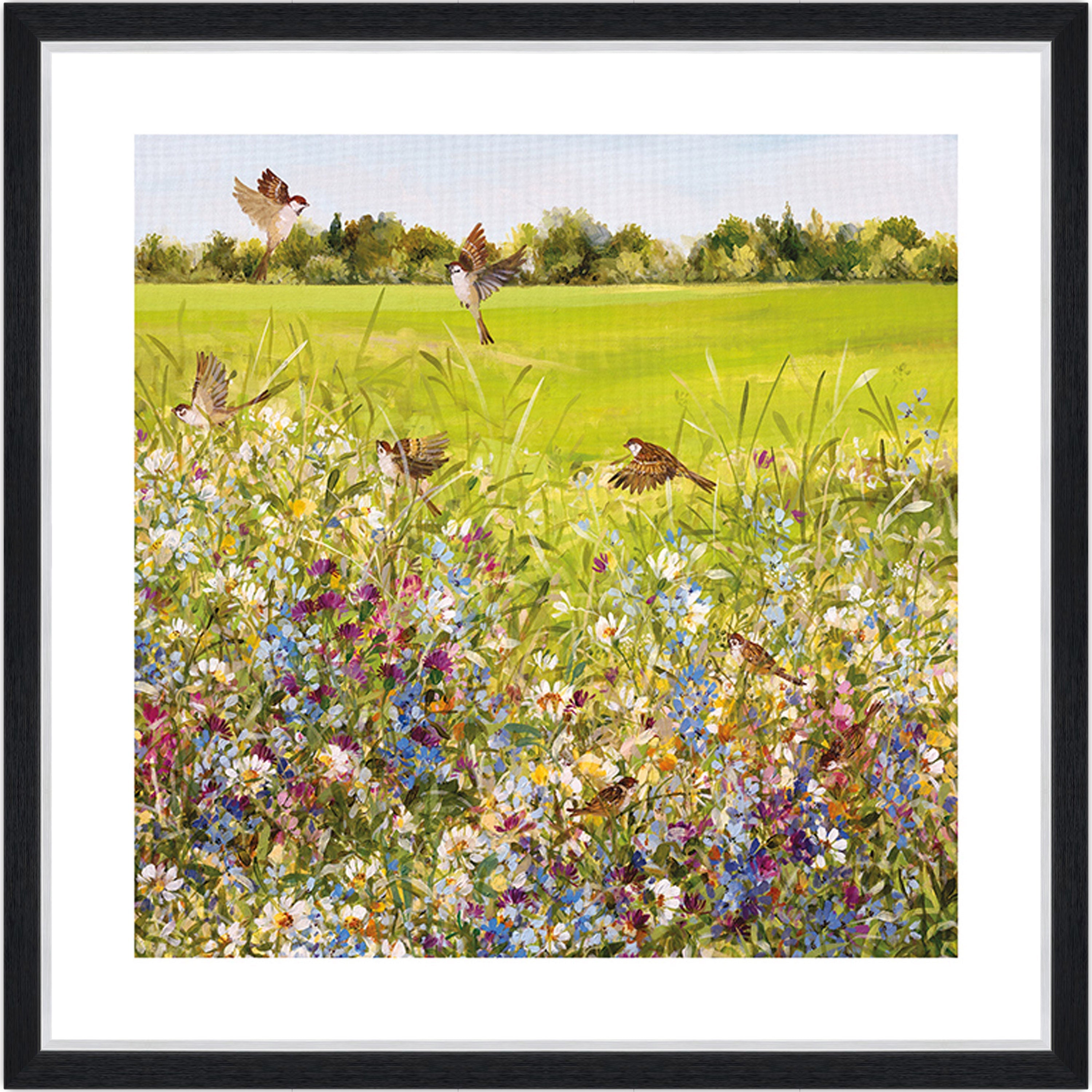 Open Meadow
