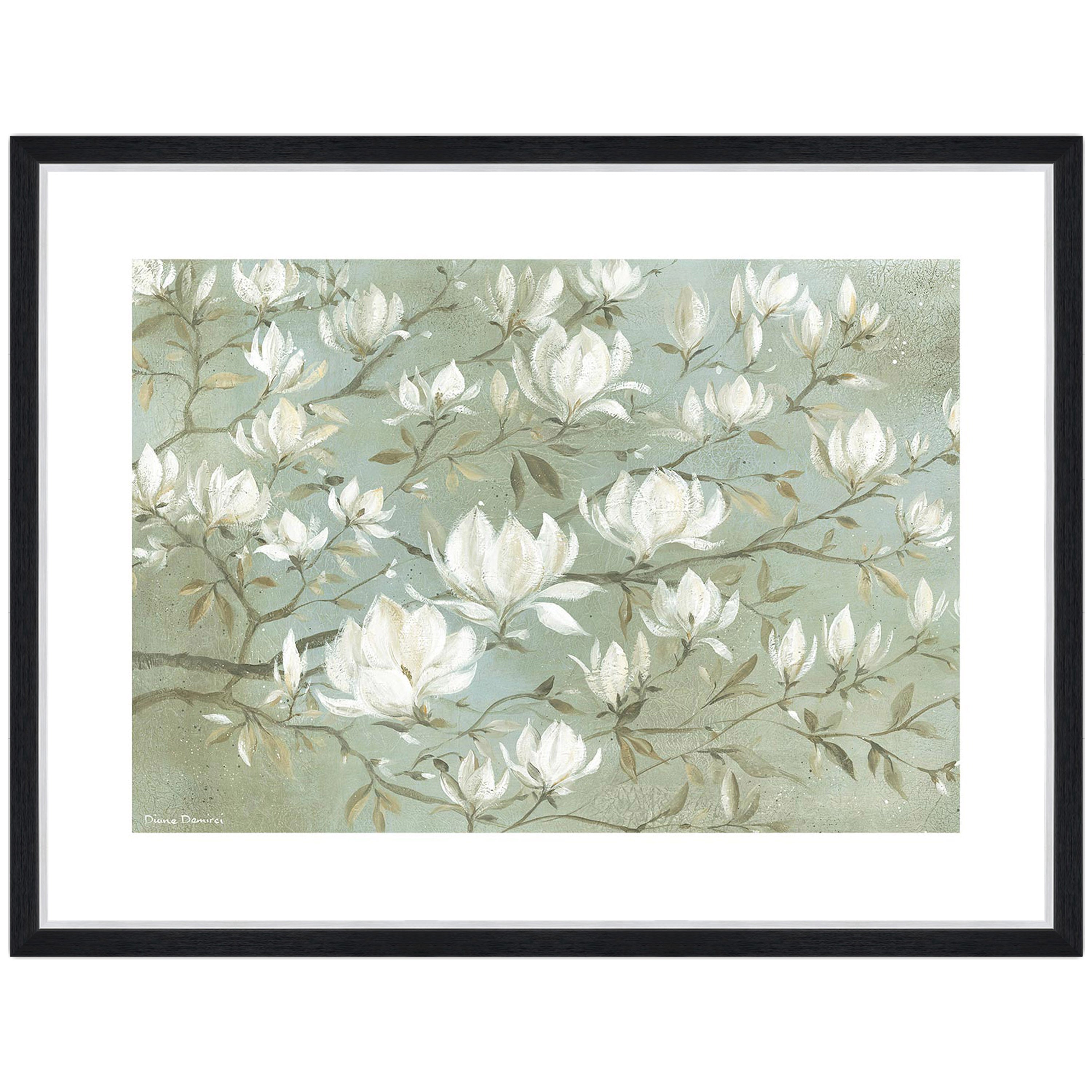 White Magnolia