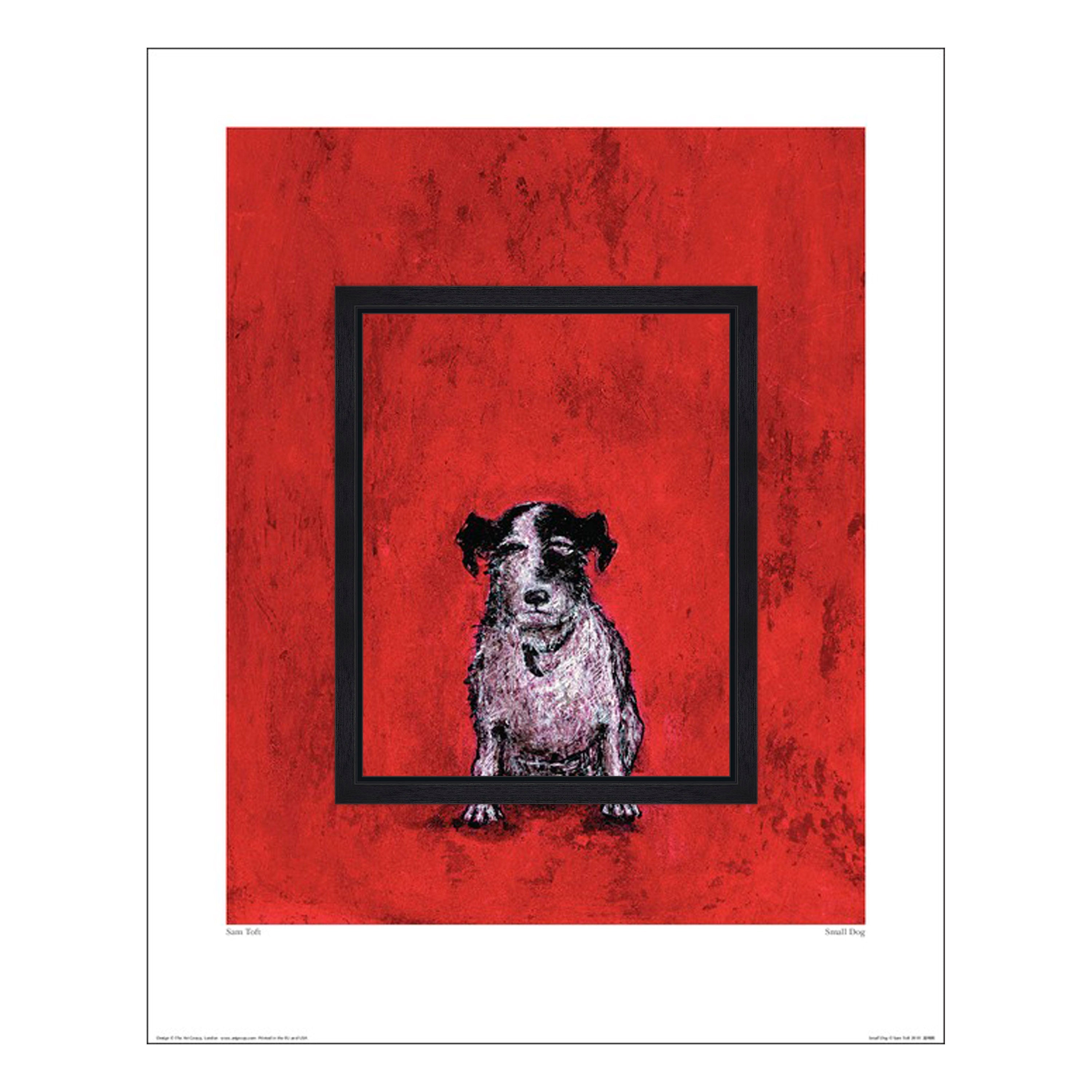 Small Dog