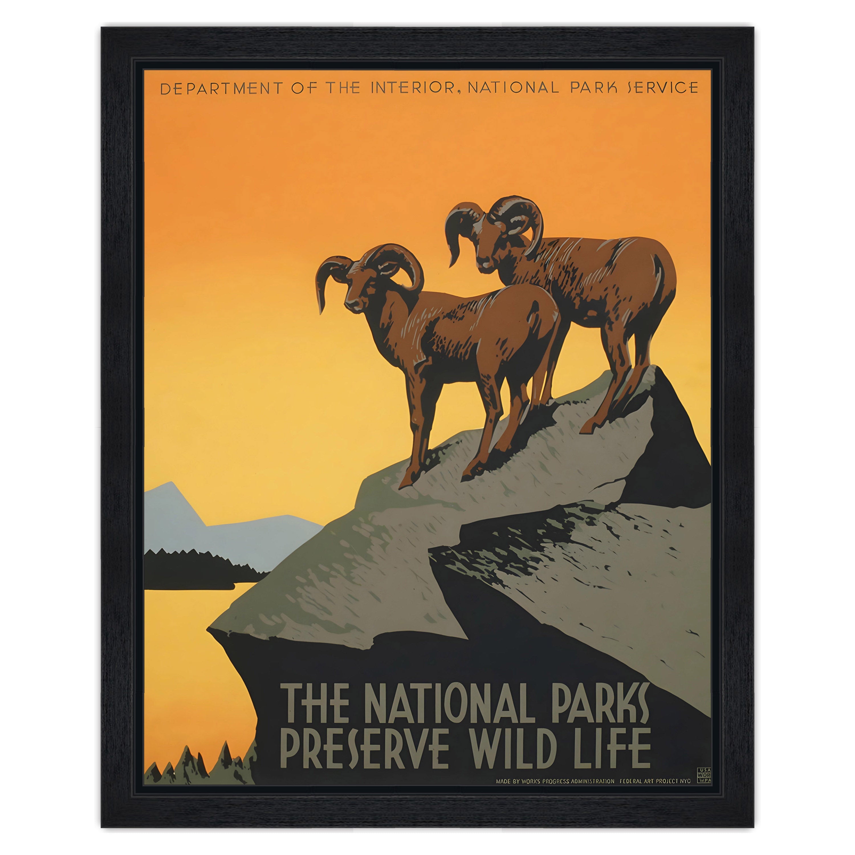 The National Parks Preserve Wild Life