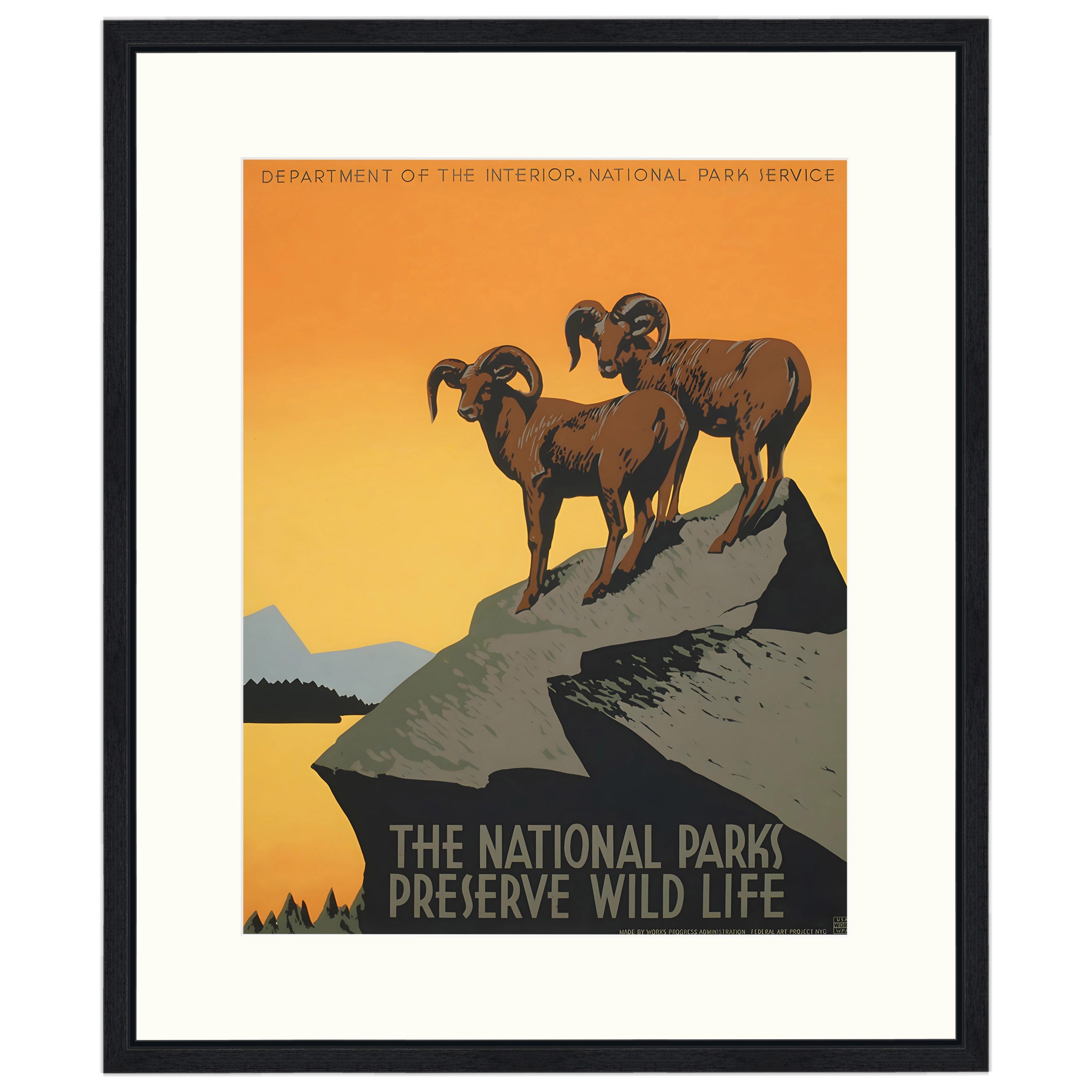 The National Parks Preserve Wild Life