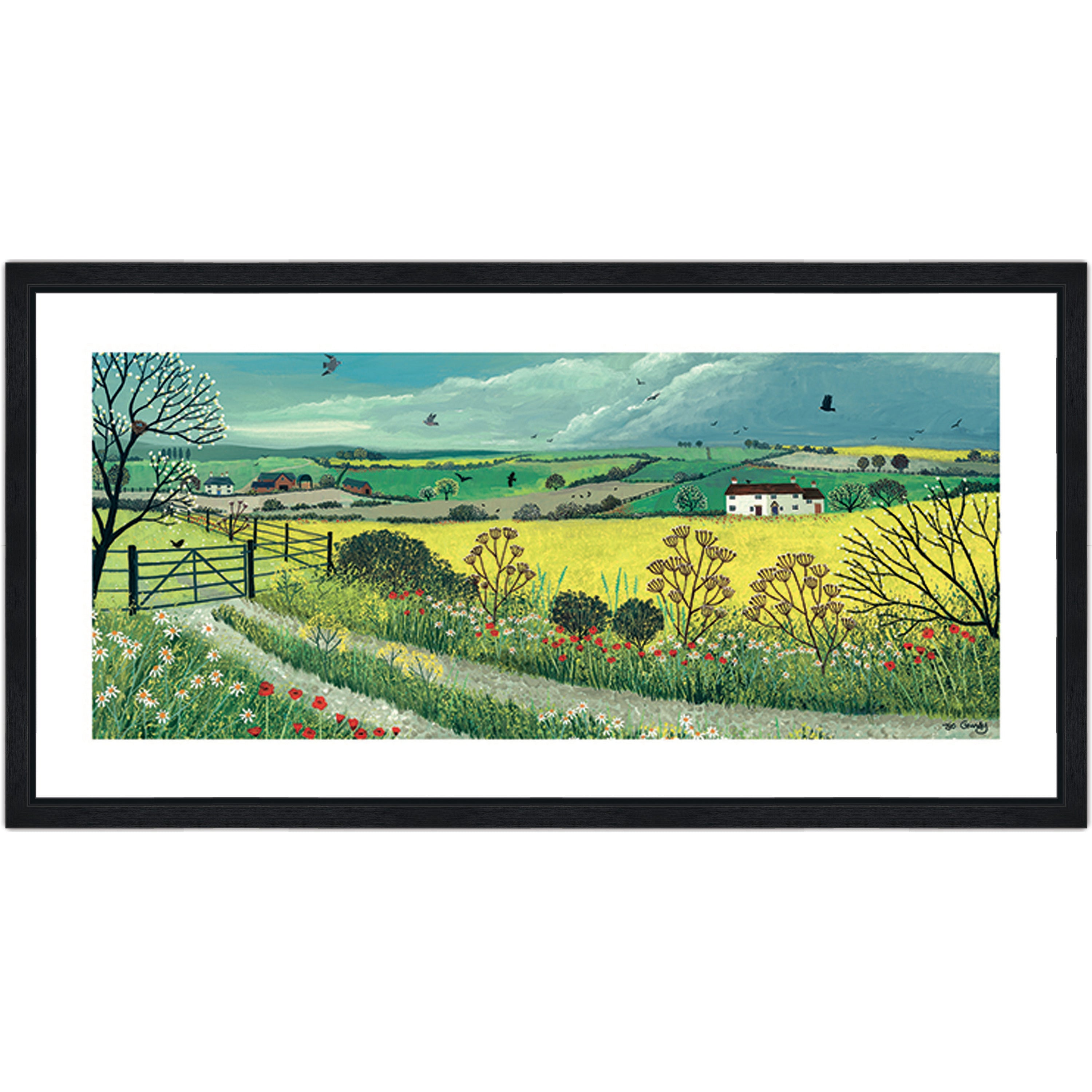 Canola Fields