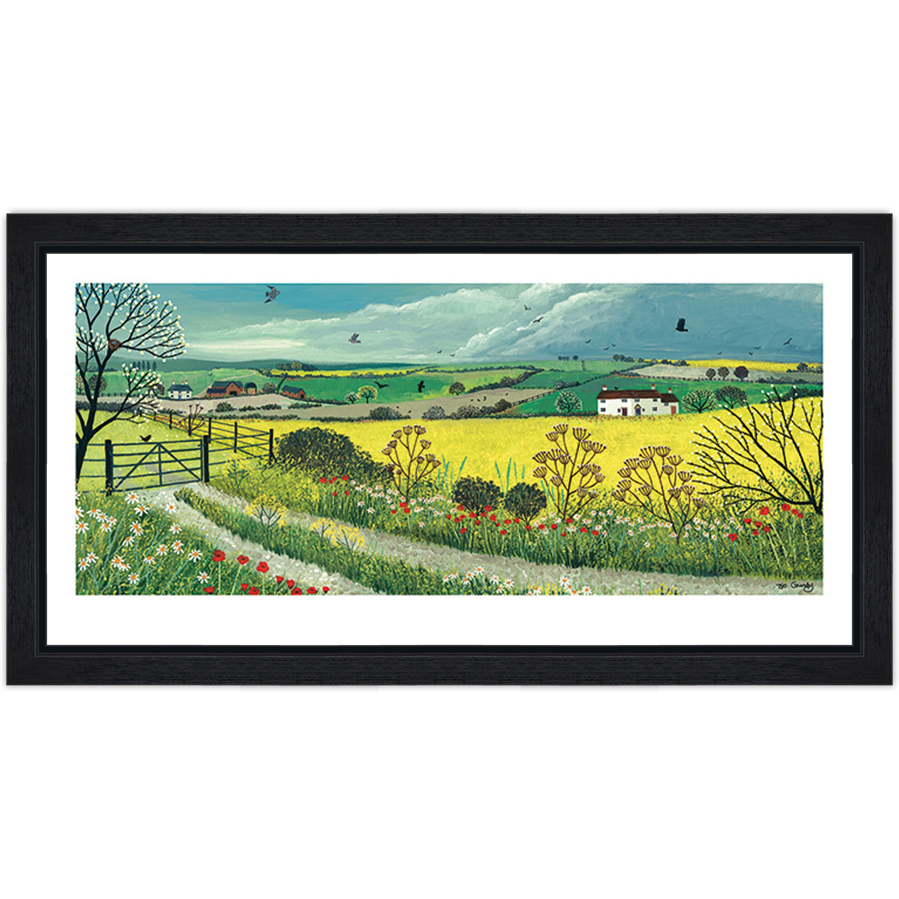 Canola Fields