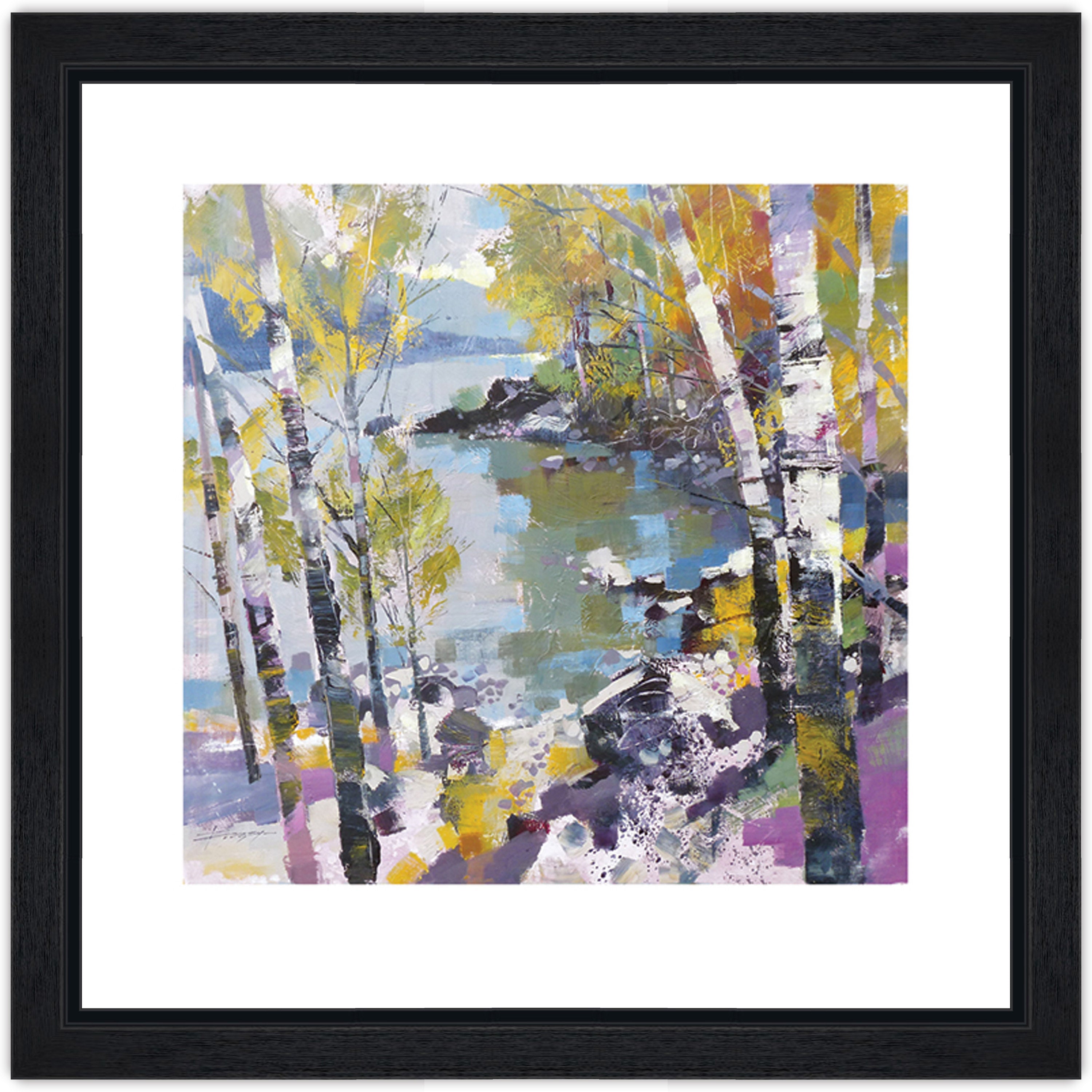 Birch in Spring
