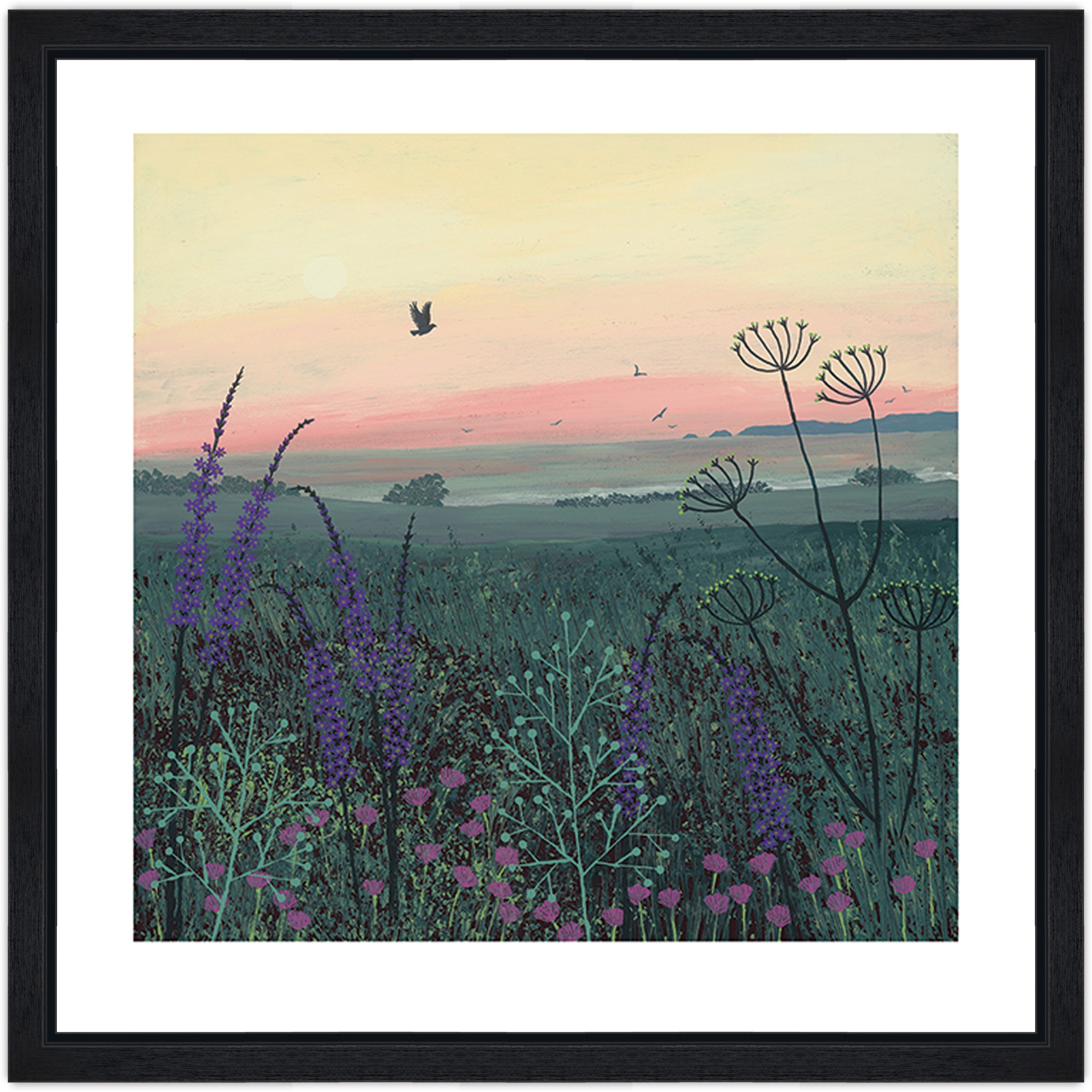 Coastal Dawn