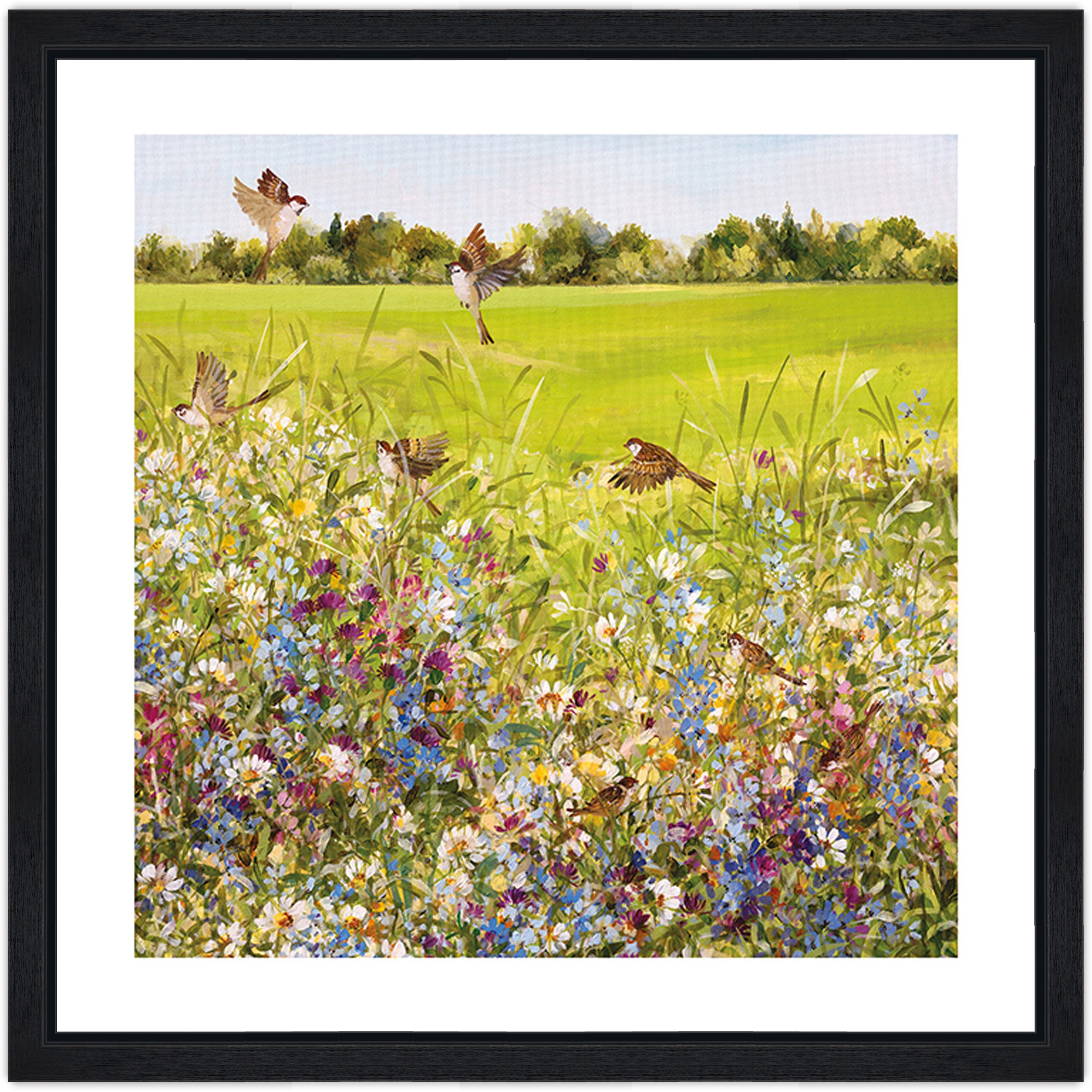 Open Meadow