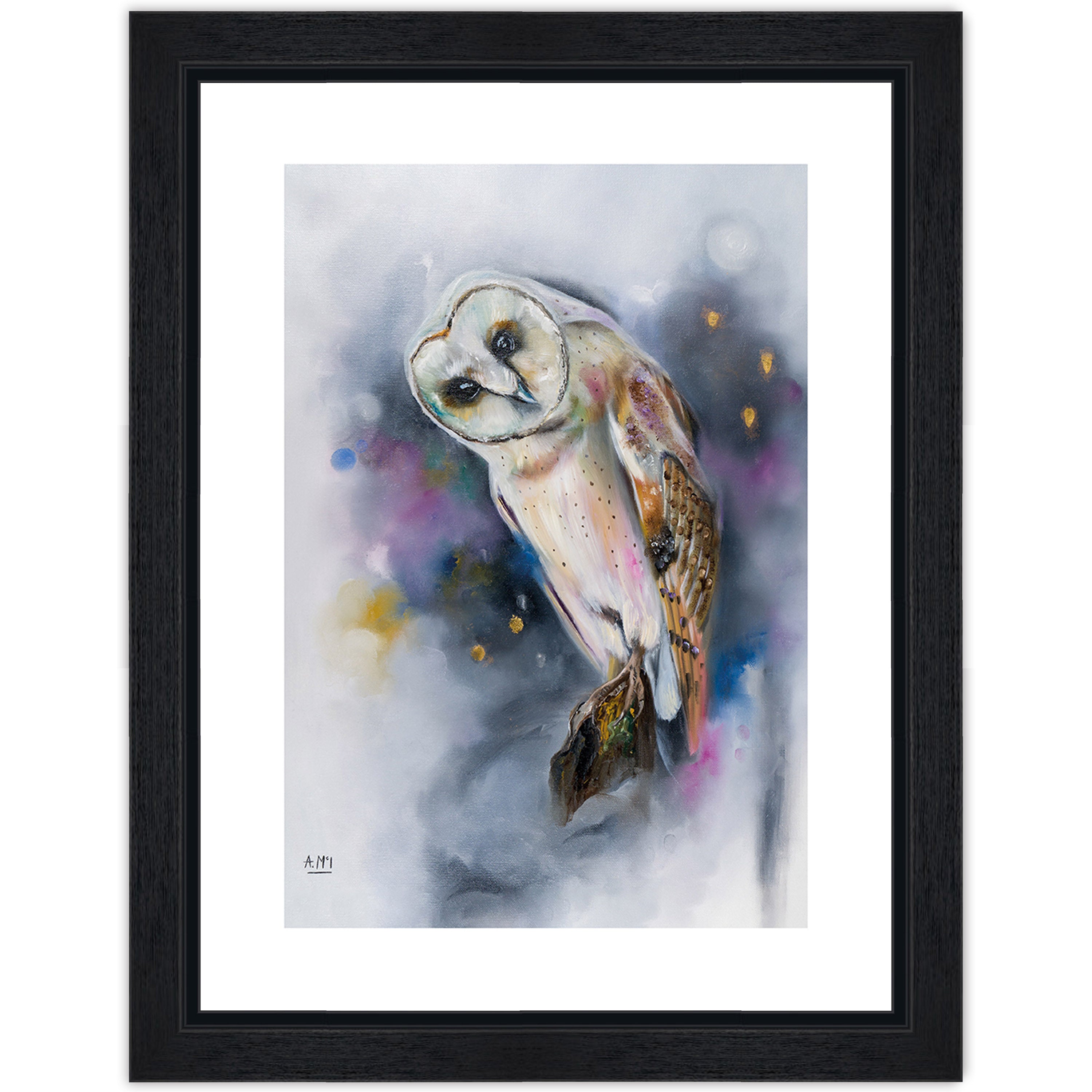 Owl Watching