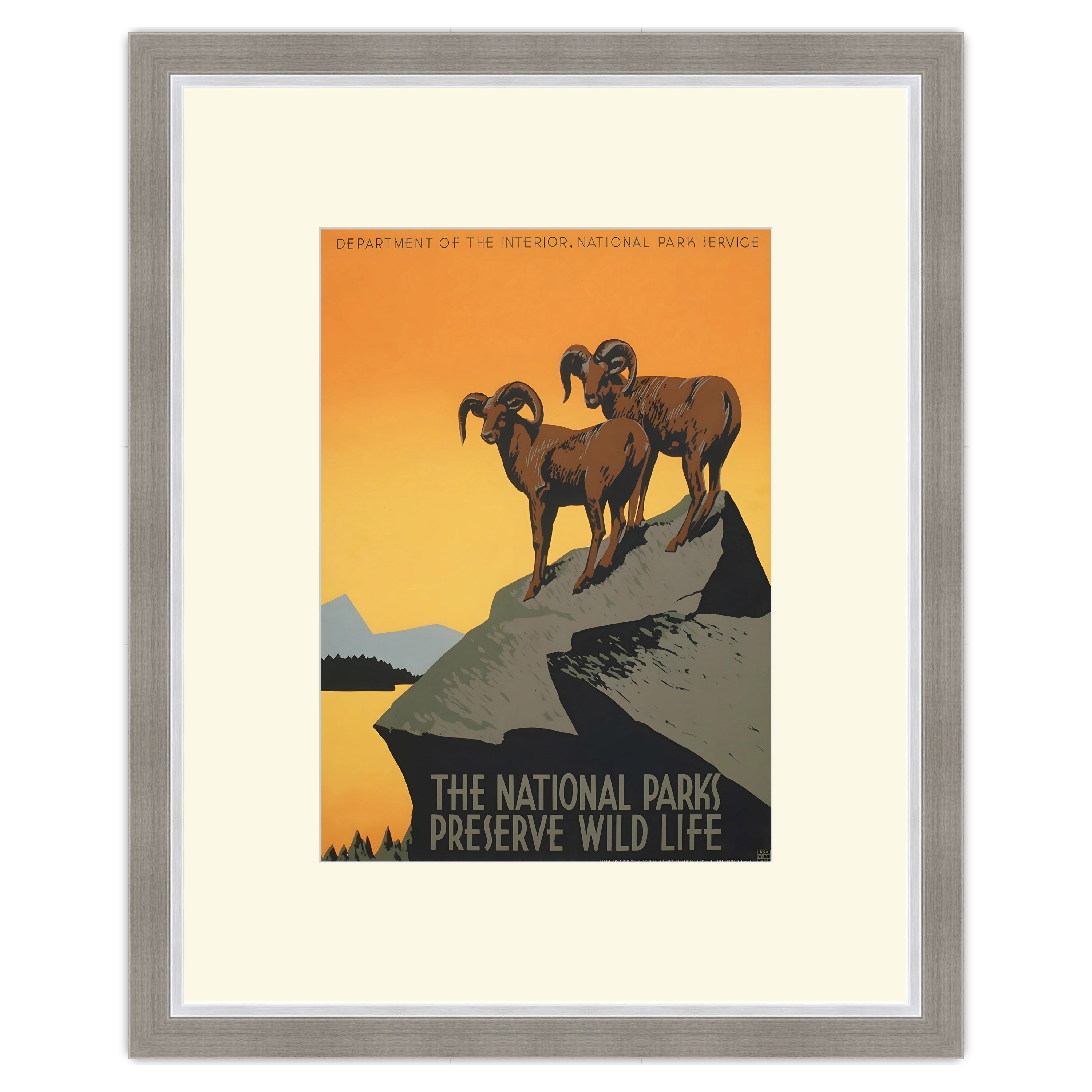 The National Parks Preserve Wild Life