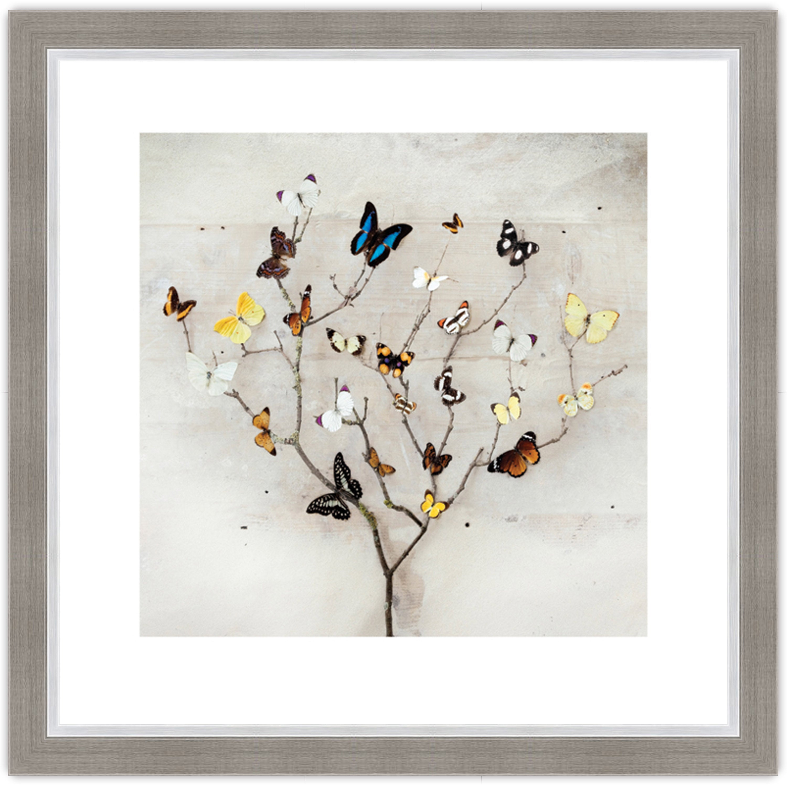 Tree of Butterflies