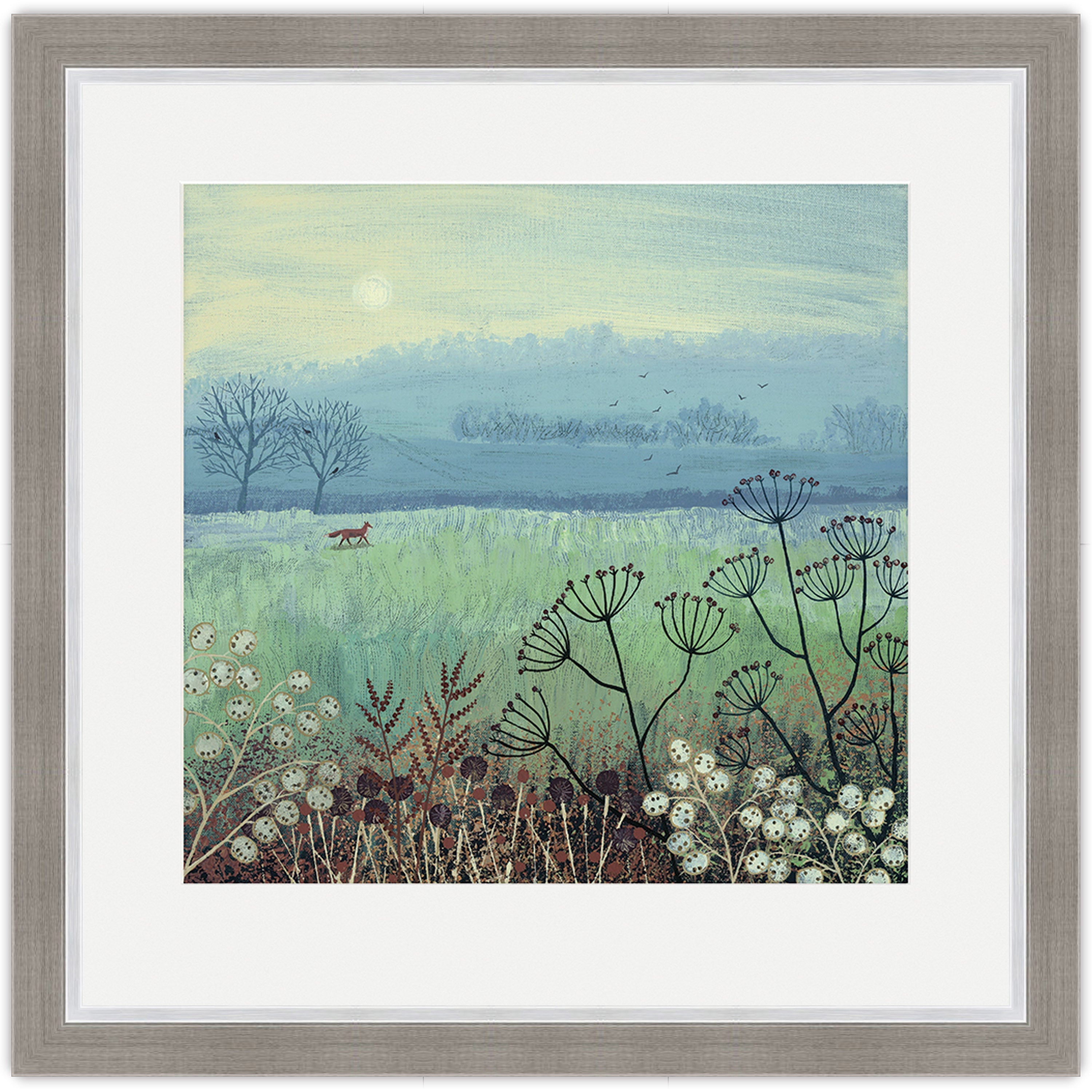 Misty Morning