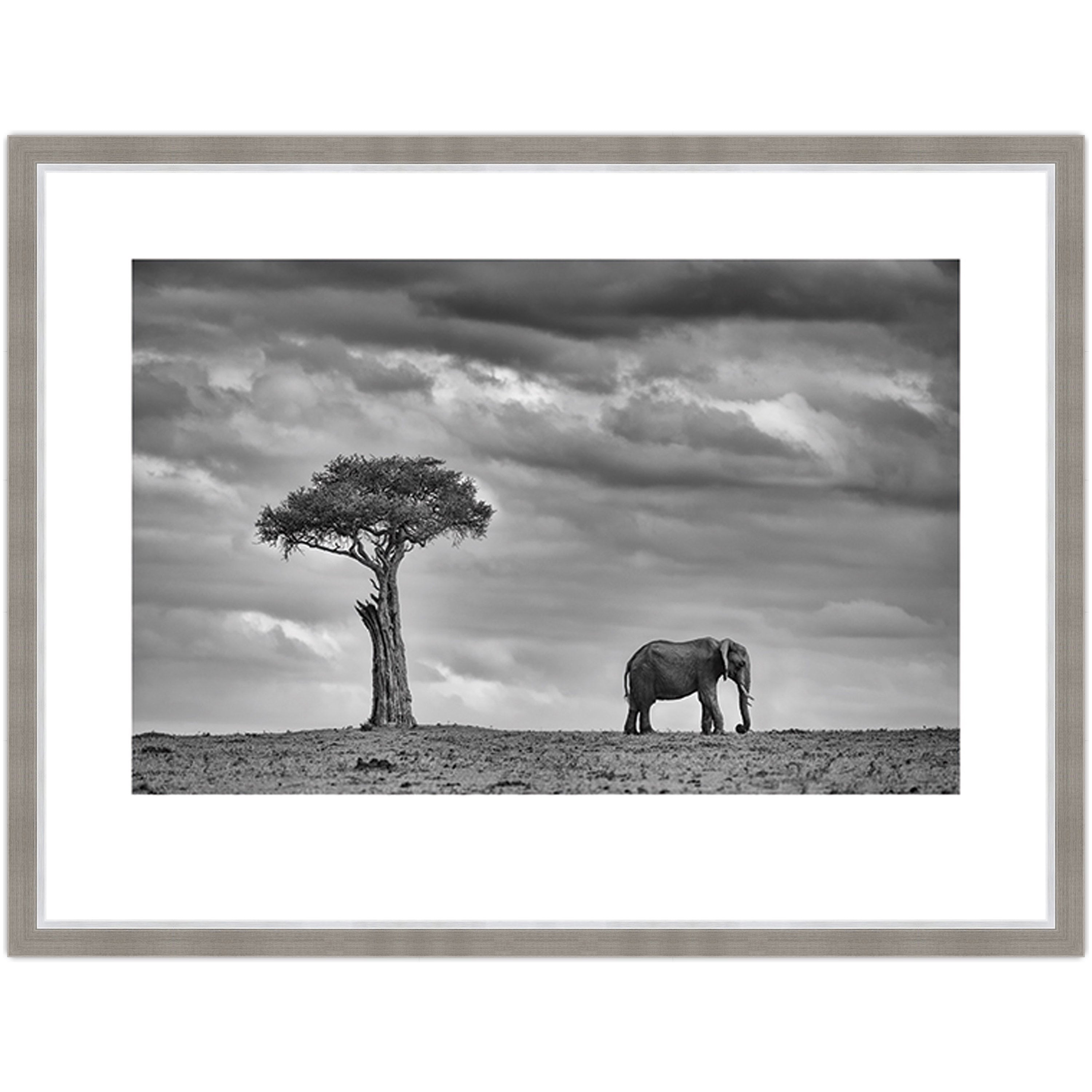 Land of Giants
