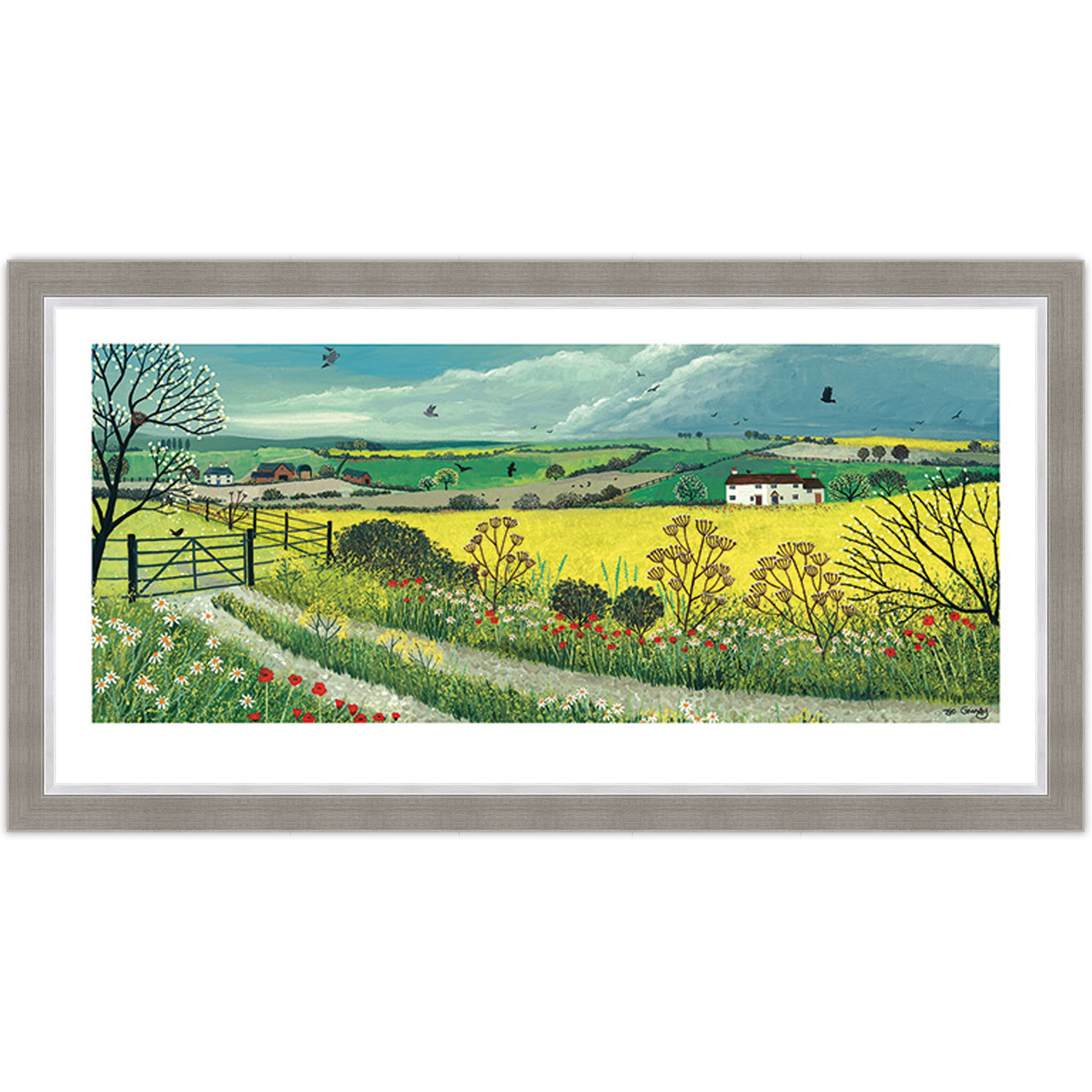 Canola Fields