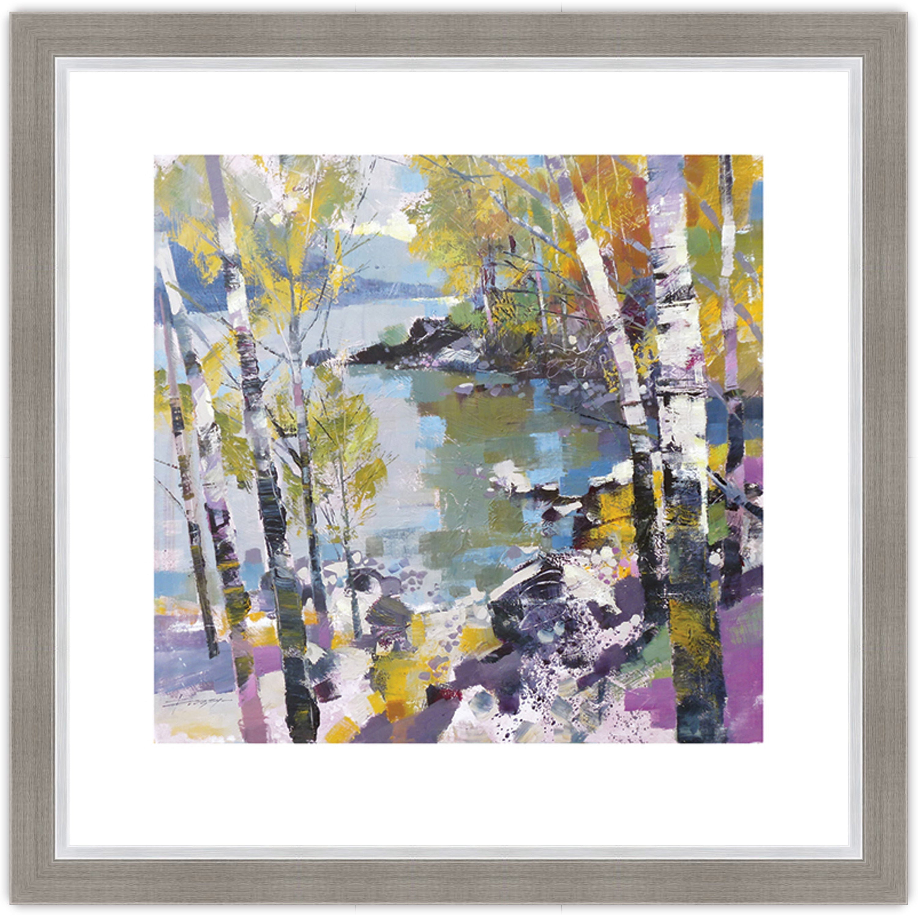 Birch in Spring