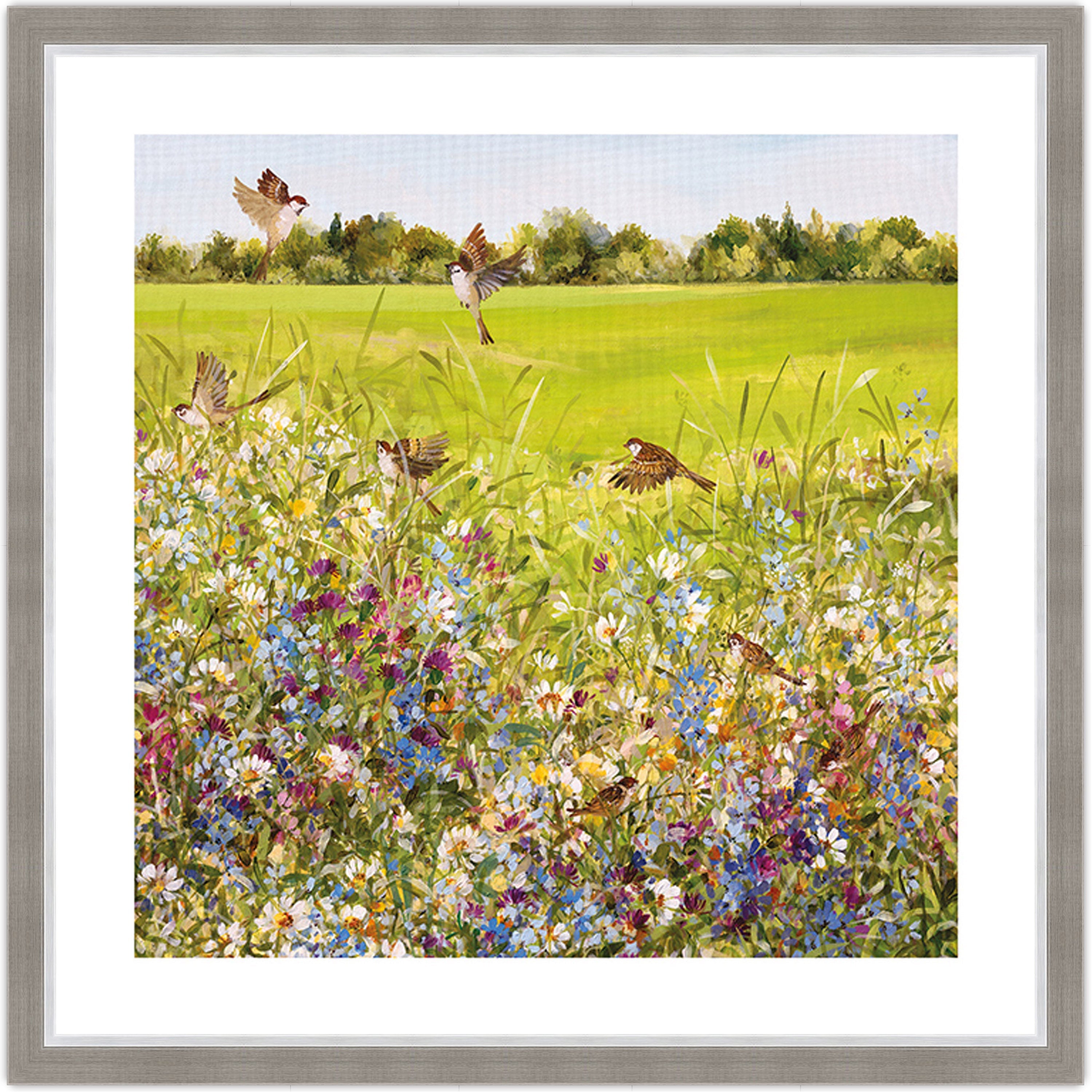 Open Meadow