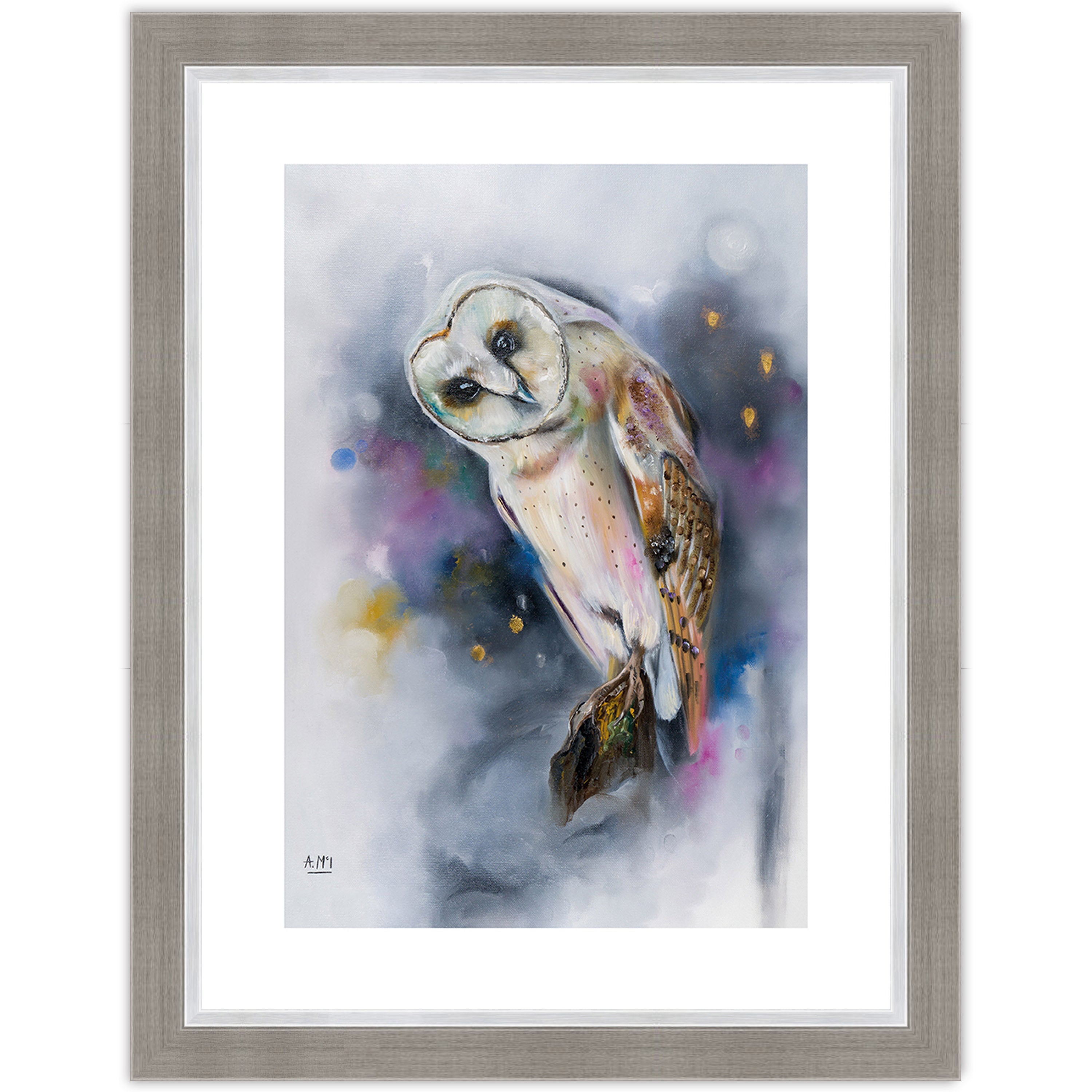 Owl Watching