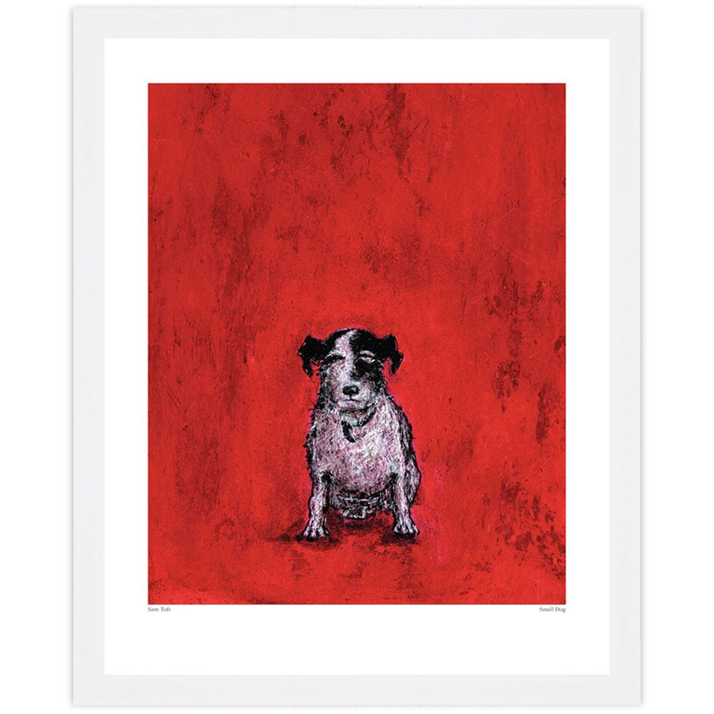 Small Dog