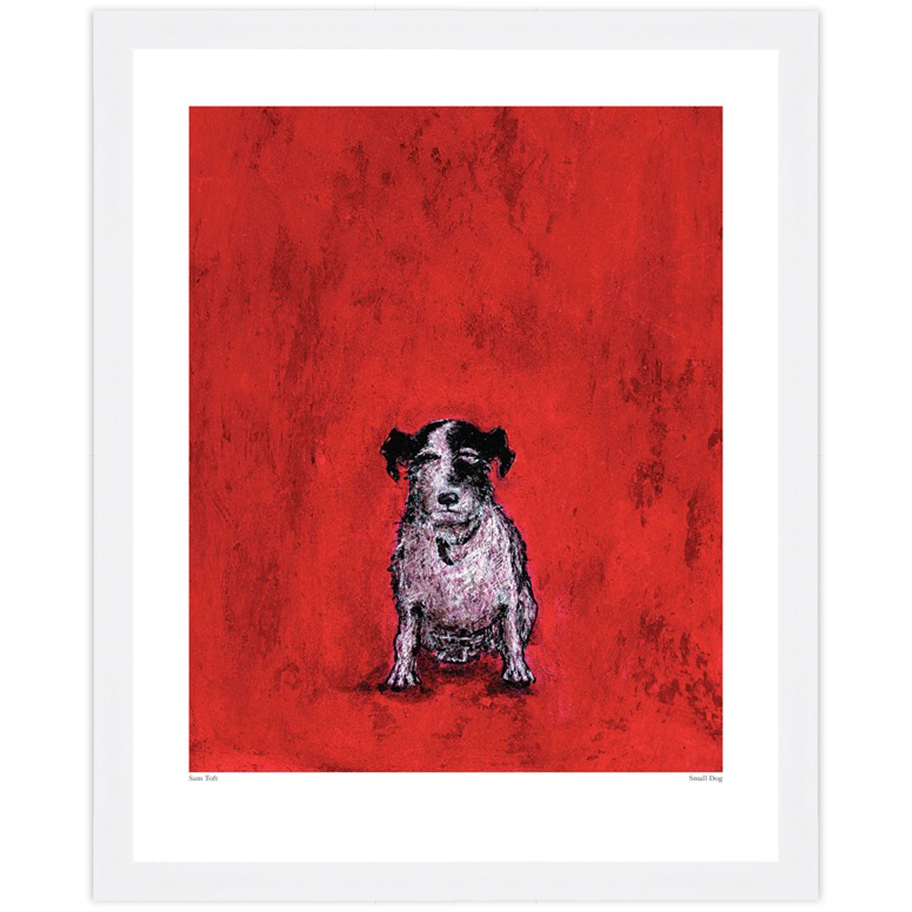 Small Dog