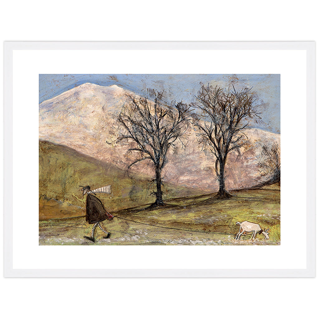 Walking with Mansfield