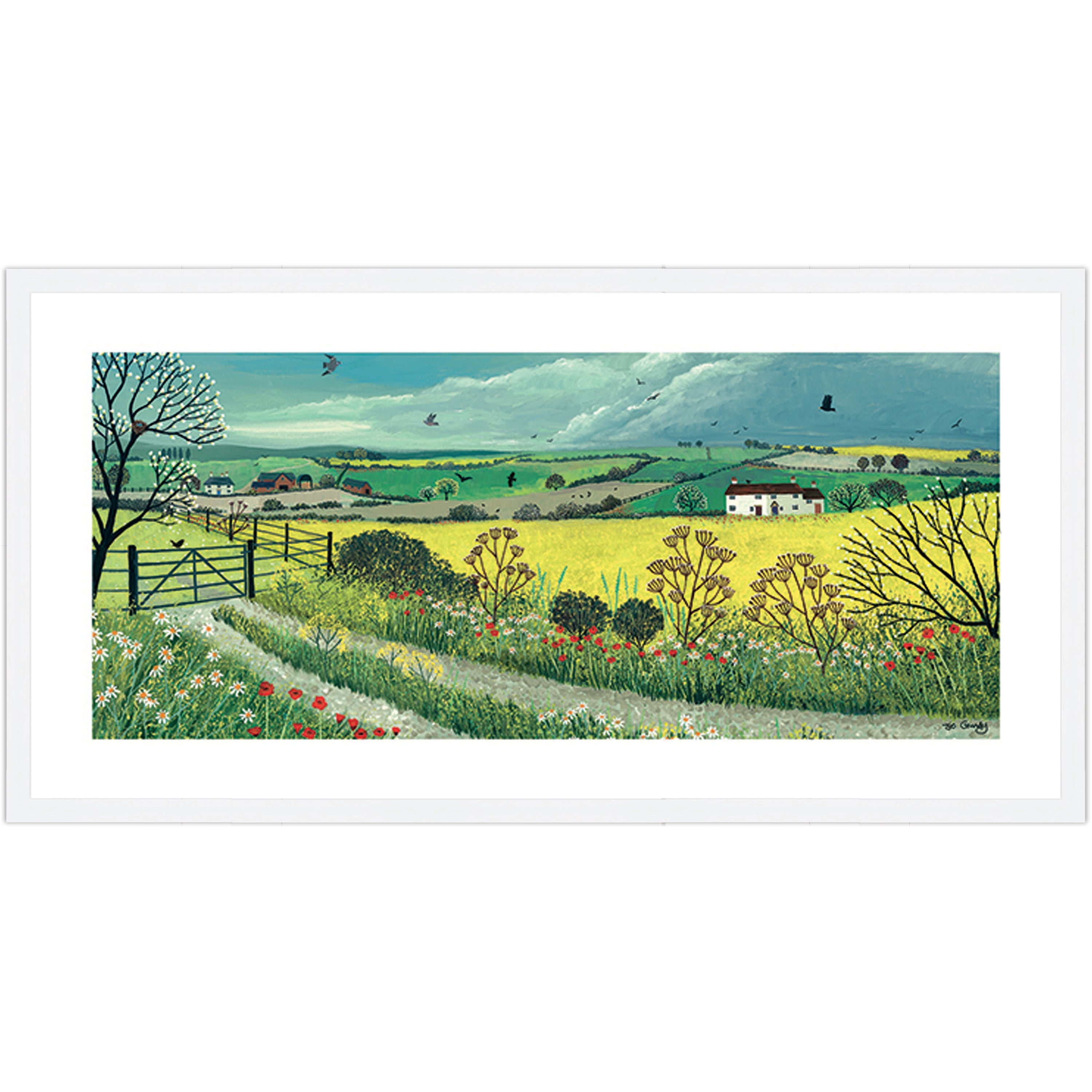 Canola Fields