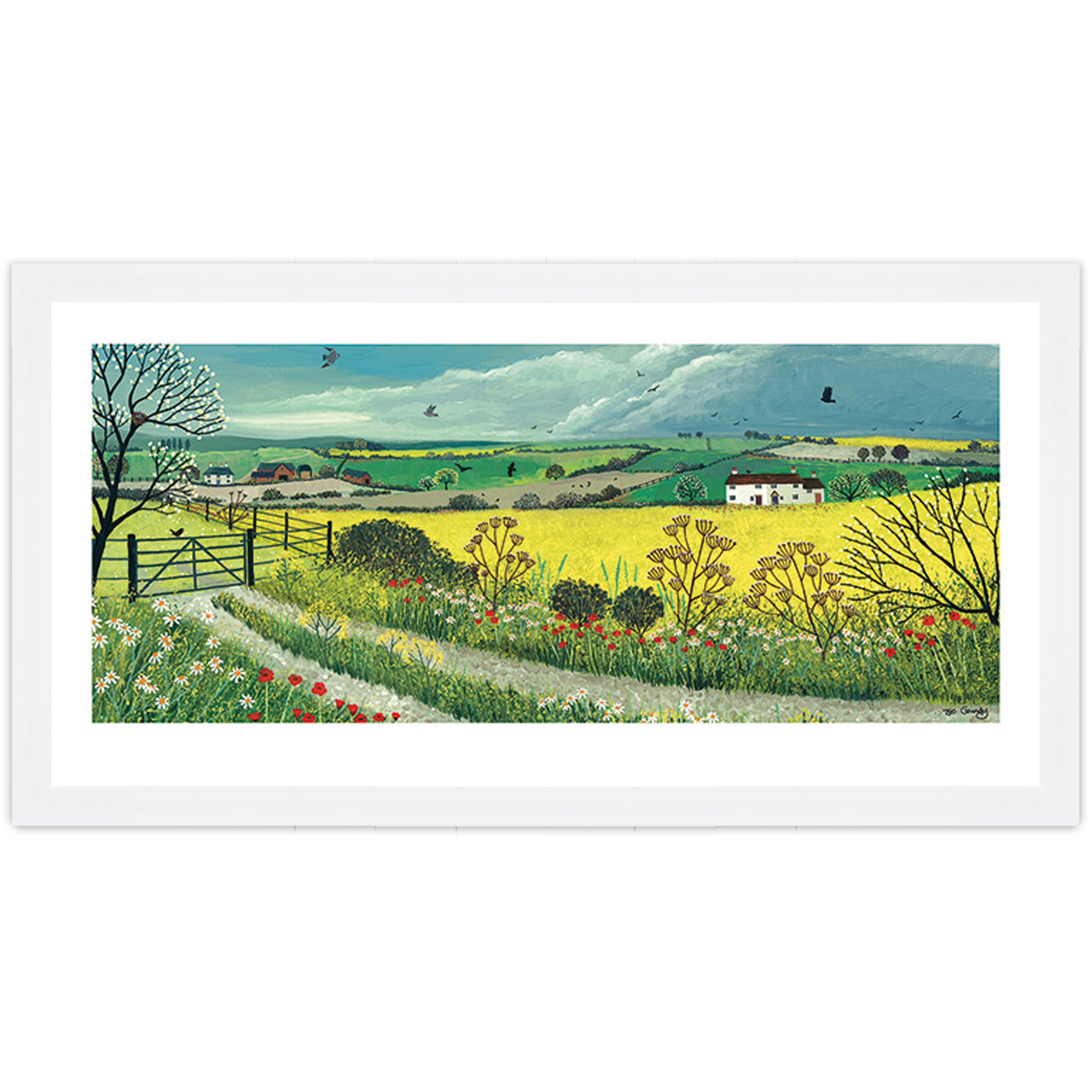 Canola Fields