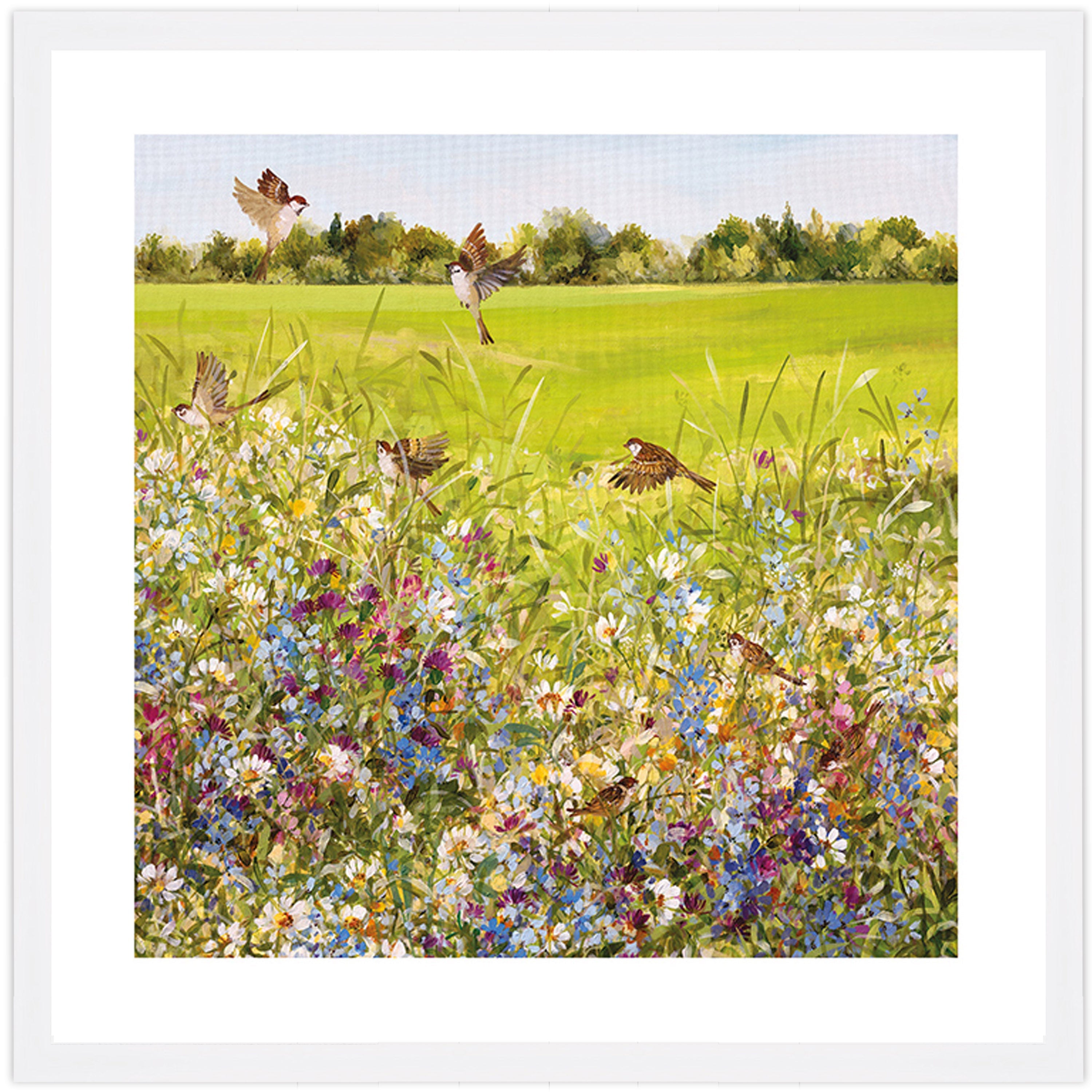 Open Meadow