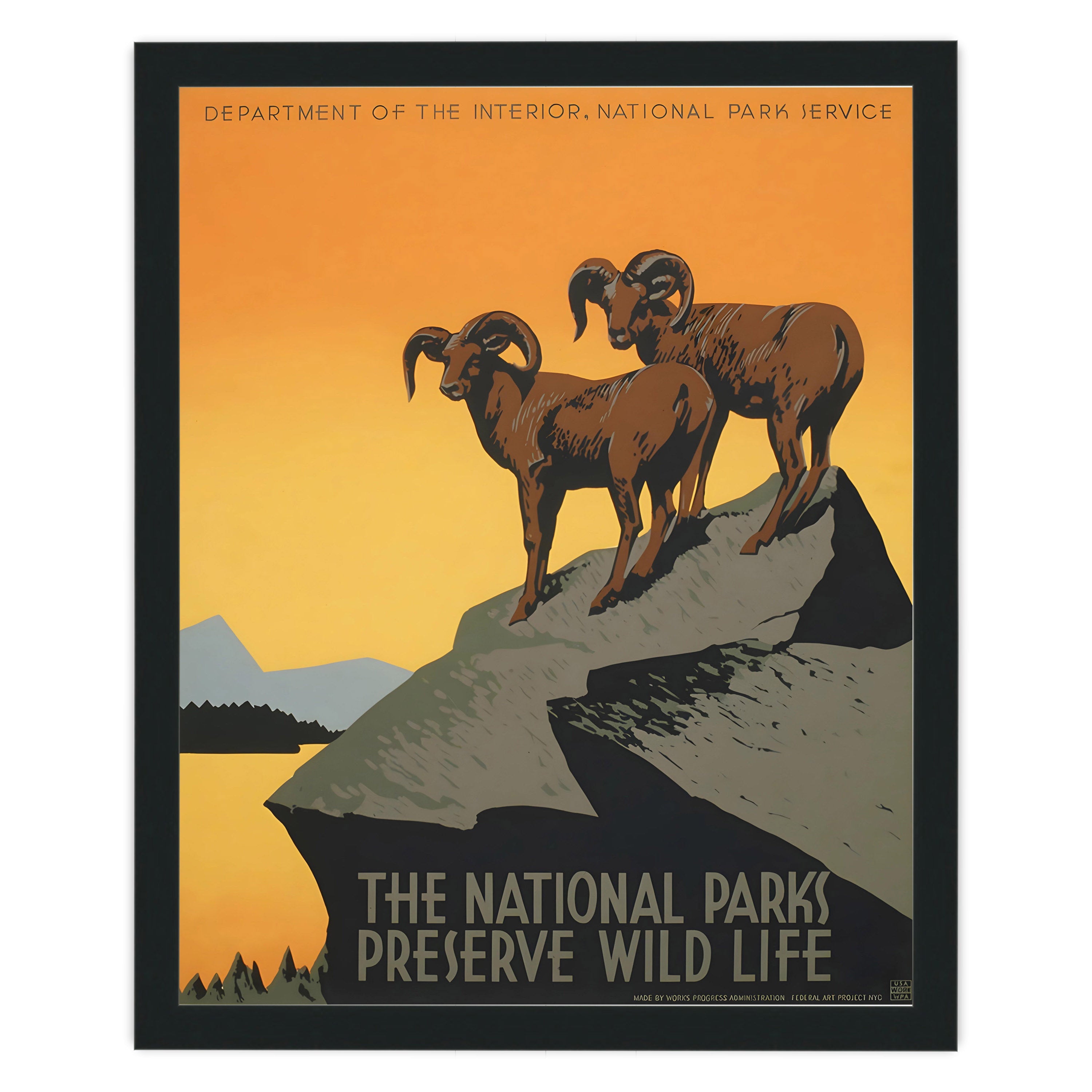 The National Parks Preserve Wild Life