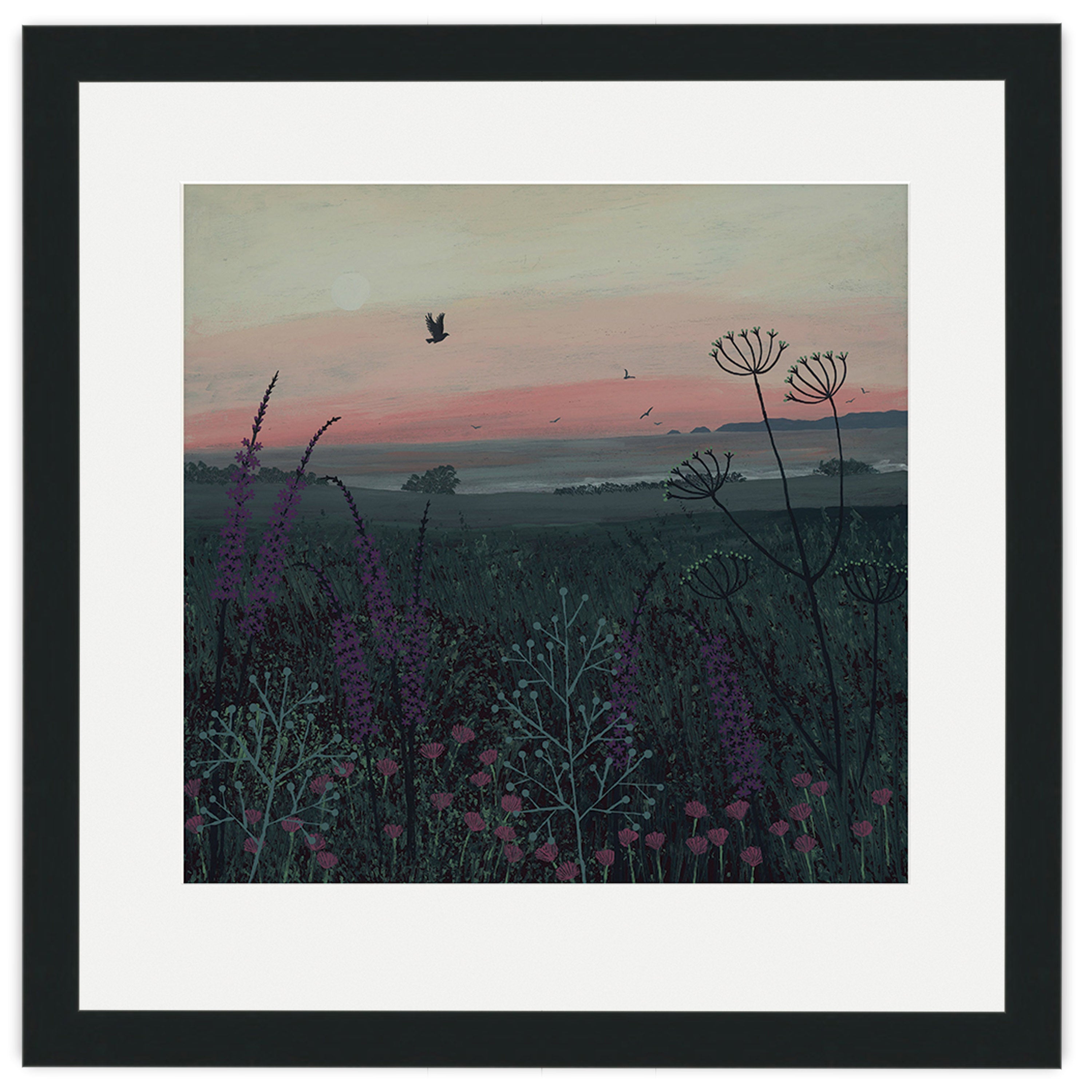 Coastal Dawn