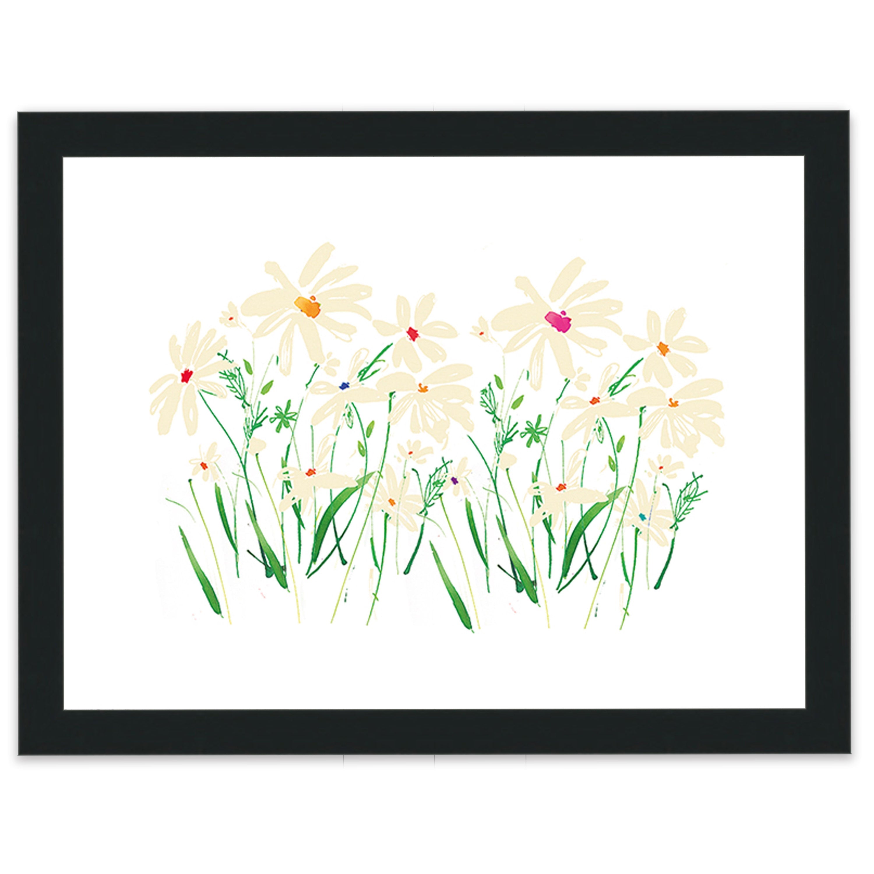 Marguerite Daisy