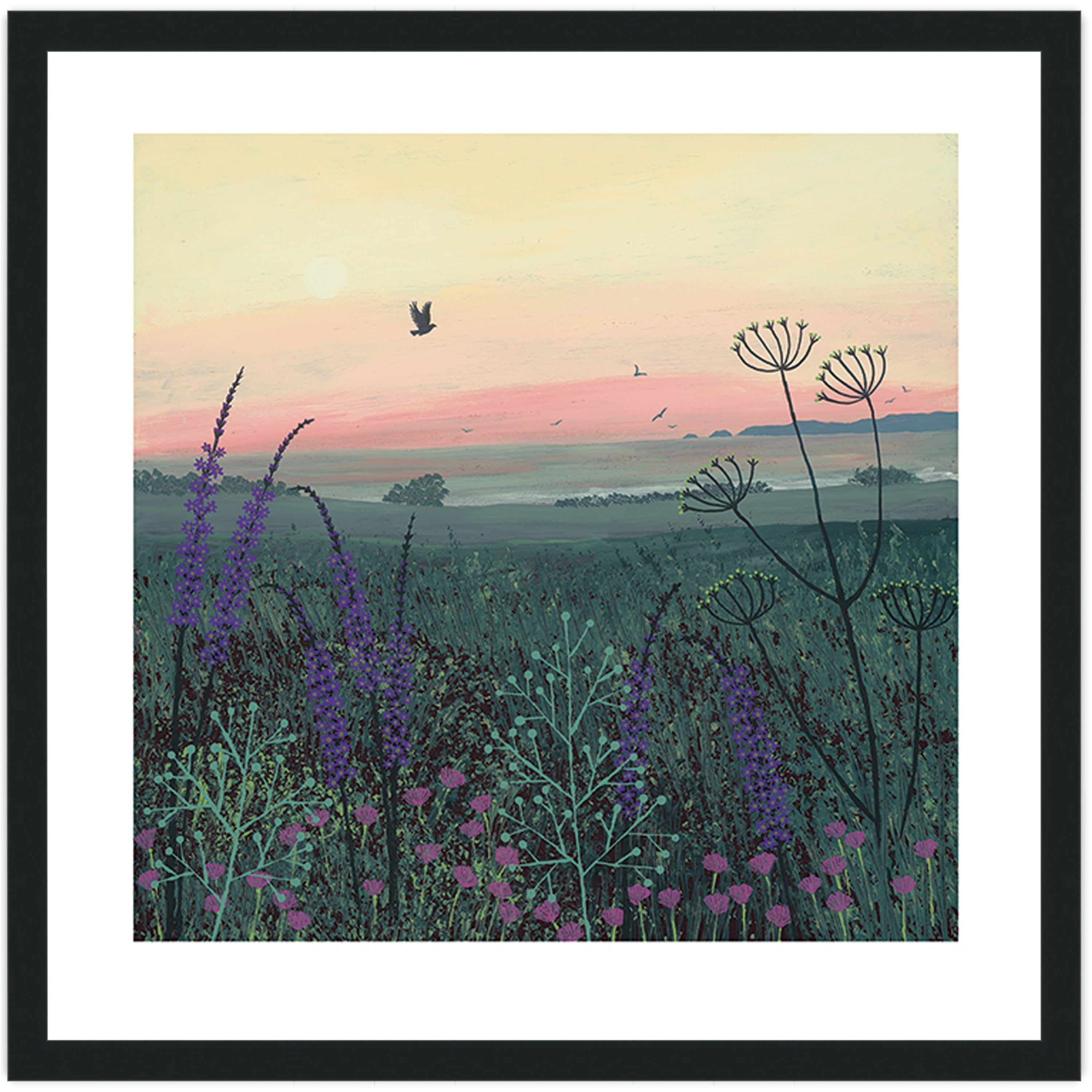 Coastal Dawn