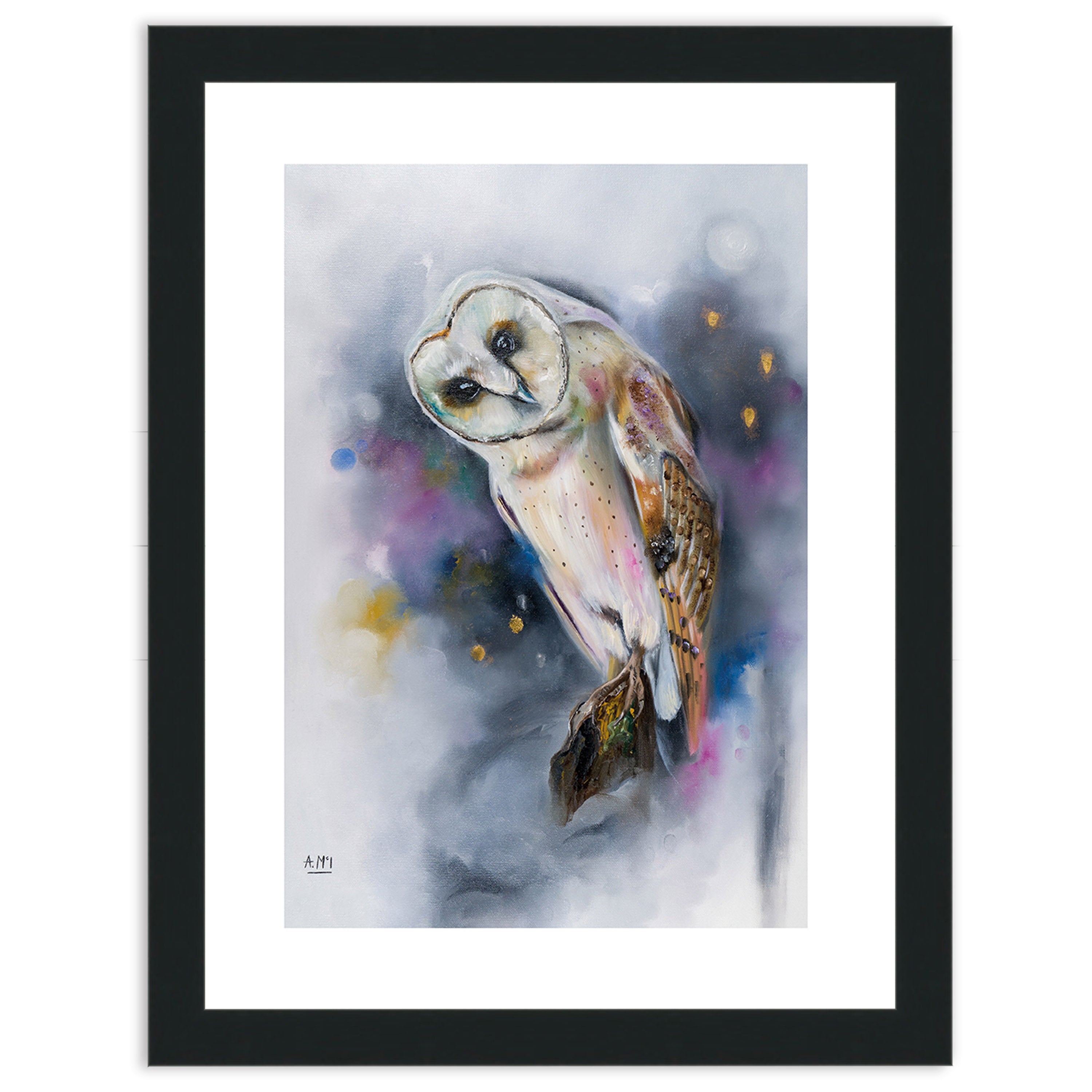 Owl Watching